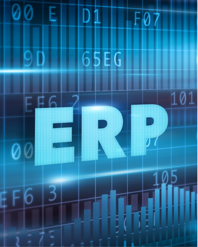 ERP實施
